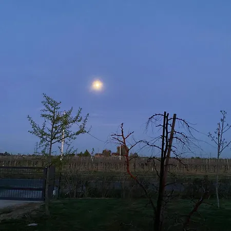 Sotto La Luna 아파트 카스텔 볼로네제