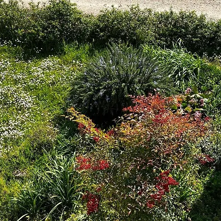 Sotto La Luna Διαμέρισμα Castel Bolognese