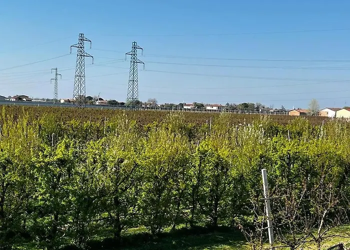 Sotto La Luna * Castel Bolognese