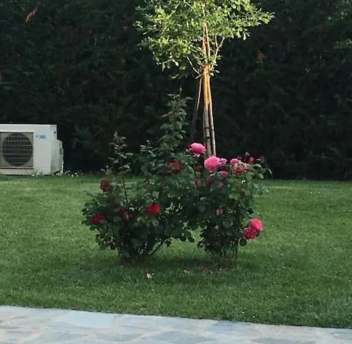 Apartman Sotto La Luna *