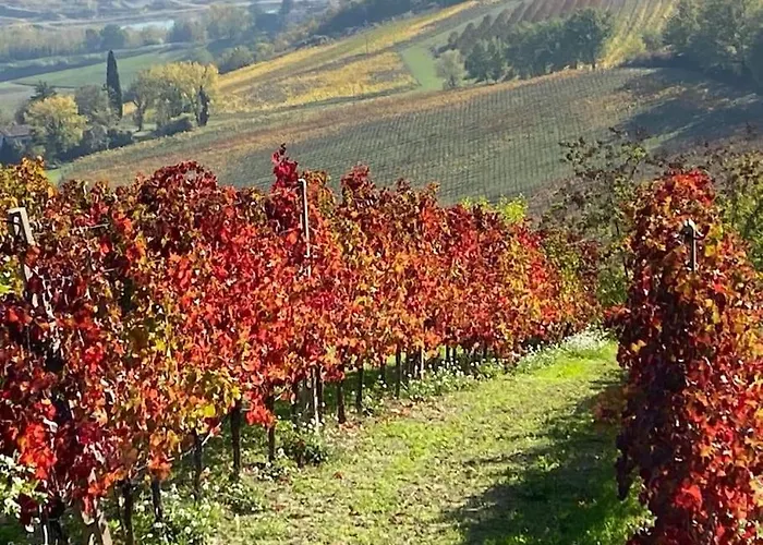 Sotto La Luna Апартаменты Кастель-Болоньезе