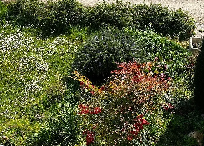 Sotto La Luna Апартаменты Кастель-Болоньезе